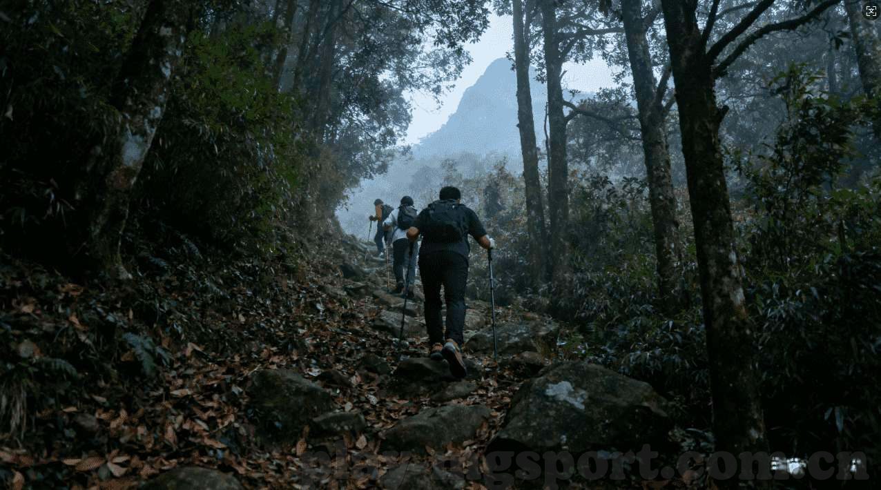 可以下分的水果机-水果机，一种娱乐与休闲的完美结合